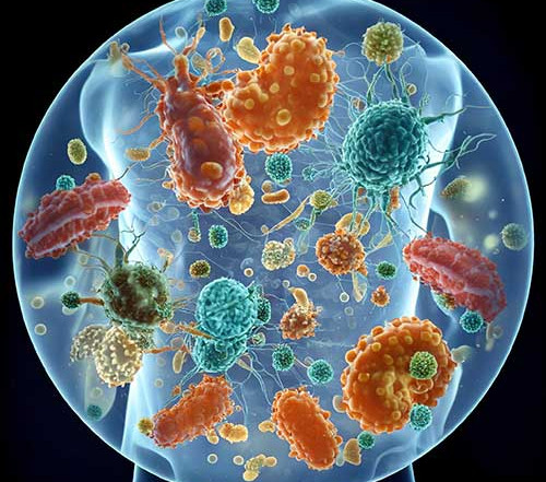 Ulje-divljeg-origana-Mocno-resenje-protiv-parazita