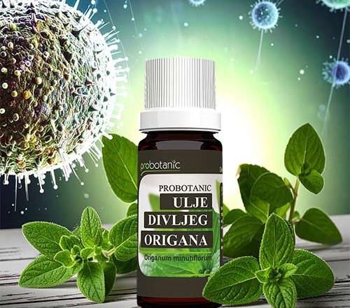 Antikancerogeno-delovanje-ulja-divljeg-origana